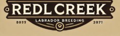 Redl Creek Labradors